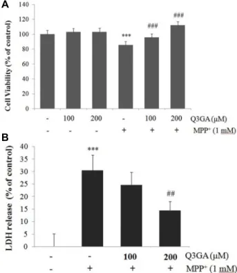 Fig.  1.  Q3GA  protectes  SH-SY5Y  cells  against  MPP + -induced  cy- cy-totoxicity