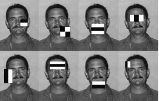 Fig.  2.  Feature  Detection  using  Haar-like