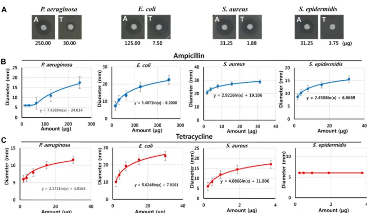 Fig.  3.  The  antibacterial  activity  of  two  positive  control  antibiotics  against  4  tested  bacteria  strains