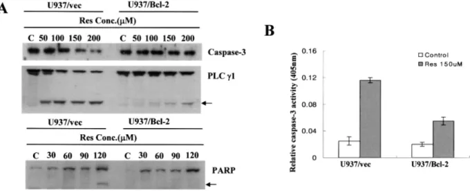 Fig. 5. Caspase-mediated apoptosis induced by resveratrol. (A) Inhibition of resveratrol-induced genomic DNA fragmentation by z-VAD-fmk