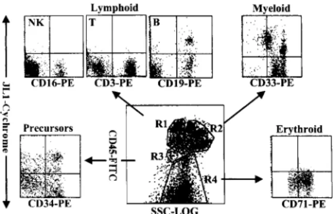 Figure 2. The expression of JL1 molecules on CD34 ⫹ BM progenitor cells.