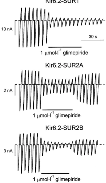 Figure 2 Inhibition of K ATP currents by glimepiride. Macroscopic currents recorded from inside-out patches in response to a series of voltage ramps from 7110 mV to +100 mV from oocytes  coexpres-sing Kir6.2 and either SUR1, SUR2A or SUR2B