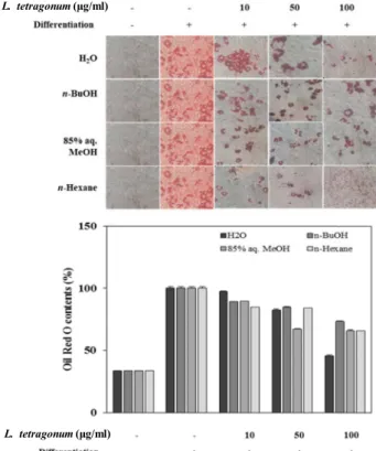 Fig.  1.  Cytotoxic  effect  of  LTFs  on  3T3-L1  cells.  The  data  repre- repre-sent  the  mean  ±  SD  of  three  separate  experiments.