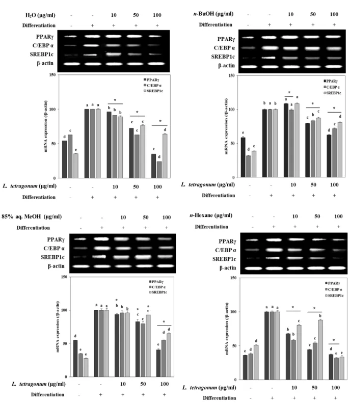 Fig.  3.  mRNA  expression  levels  of  key  adipogenic  factors  from  PPAR γ   in  differentiated  mature  3T3-L1  adipocytes  following  treatment  of  LTFs  (H 2 O;  n-BuOH;  85%  aq