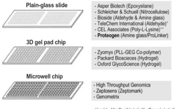 그림 1. 현재 개발된 Glass Slide 단백질칩.