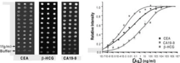 그림 4. Protein Microarray Chip의 핵심 기술.