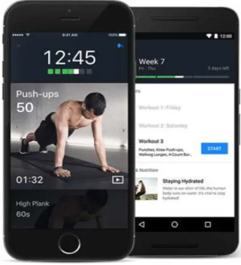 Fig.  1.  Fitness  Apps[4]