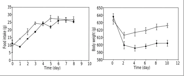 Fig. 1. Upper panel shows the amount of food intake. UCP3 group (closed circle) were provided by the same amount of food as that comsumed by control group on the previous day (closed circle)