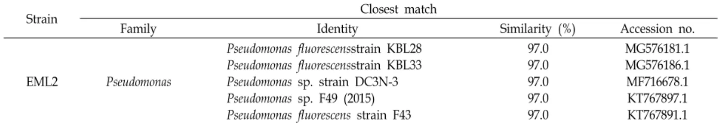 Table  2.  Identification  of  isolated  Pseudomonas  sp.  EML2  strains  by  16S  rRNA  gene