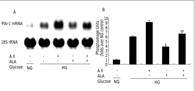 Fig. 3. Effect of -lipoic acid on PAI-1 expression on high glucose condition by northen blot analysis