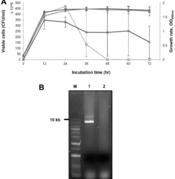 Fig.  4.  Morphological  changes  of  E.  coli  BL21  overexpressing  Toxin.  Overexpression  of  toxin  in  E