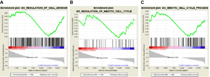 Fig.  2.  Gene  set  enrichment  analysis  (GSEA).  The  gene  expression  data  generated  by  RNA-seq  were  analyzed  using  GSEA  to  extract  the  cell  cycle  knowledge  about  (A)  the  regulation  of  the  mitotic  cell  division,  (B)  the  regula
