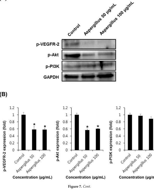 Figure 7. Cont.