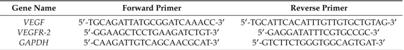 Table 1. Primer sequences used for semi-quantitative reverse-transcription polymerase chain reaction (PCR).