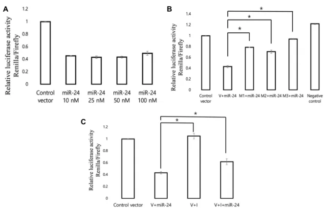 Fig.  3.  Direct  targeting  of  Avp  by  miR-24.  (A)  Dual-luciferase  activity  of  the  Avp  cDNA  reporter  gene  in  the  presence  of  various  concentrations  (10,  25,  50,  and  100  nM)  of  miR-24  oligos