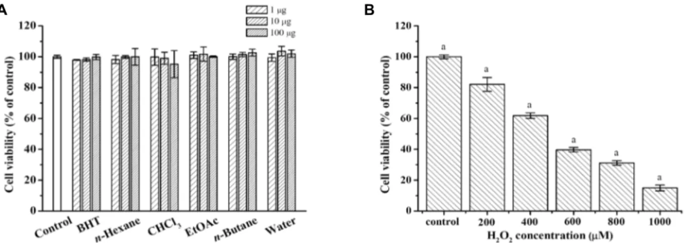 Fig.  2.  Effects  of  H.  cordata  extract  or  H 2 O 2   on  cell  viability  in  HaCaT  cells