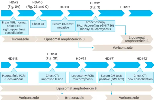 Fig. 1.  Flow chart of the diagnostic methods and antibiotic use during the clinical course