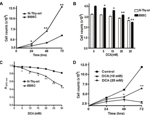 Fig.  1.  Growth  of  thyroid  cancer  cells  and  effect  of  DCA  on  cell  viability