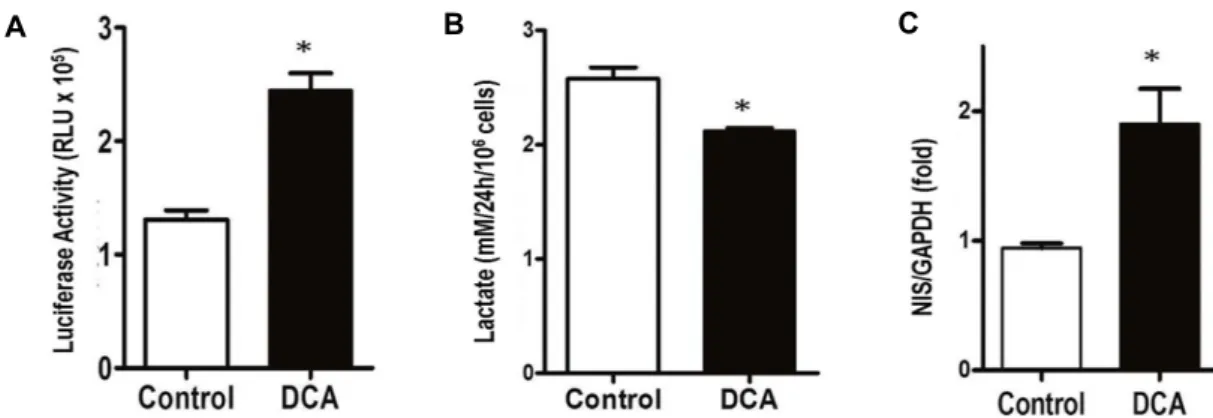 Fig.  4.  DCA  effect  on  p21  promoter  activity,  lactate  production,  and  NIS  expression