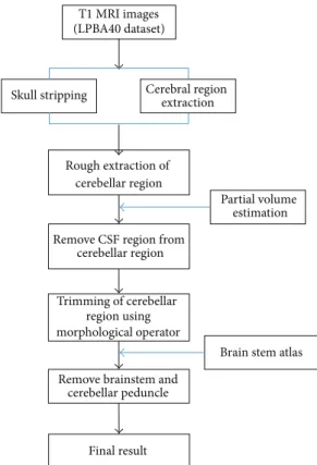 Figure 1: The flowchart of the proposed cerebellar segmentation method.