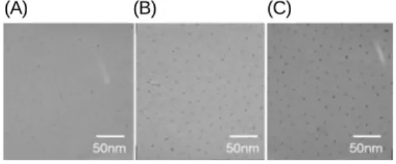 그림 7.  Fabrication  of  nanoparticles  by  PS-PVP micelle encapsulation method.