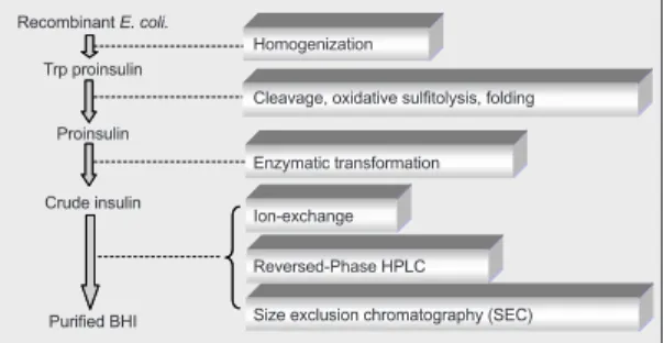 그림 3. Diagram of the batch SEC process for recovery of BHI.