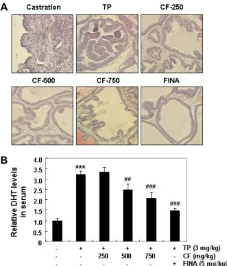 Fig.  3.  Effects  of  CF  administration  on  5α-reductase  type  2  in  TP-induced  BPH  rats