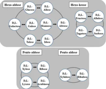 Fig.  2.  Rare  sugars  produced  by  epimerization  reaction  of  DTEase  and  DAEase