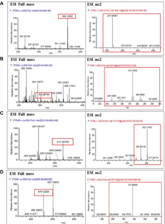 Fig.  5.  Mass  spectra  showing  retention  times  and  MS/MS  fragments  at  m/z  369.12,  302.07,  317.07,  and  479.11,  representing  gluco- gluco-brassicin  (A),  sinigrin  (B),  glucotropaeolin  (C),  and  progoitrin  (D),  respectively,  in  DLMK  