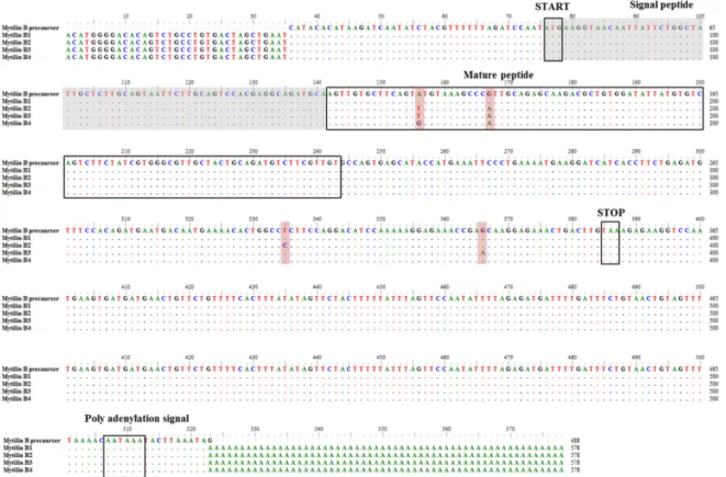 Fig.  4.  Multiple  alignment  of  nucleotide  sequences  of  mytilin  B  precursor  and  mytilin  B  isoforms