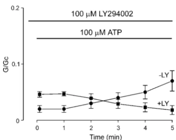 Fig. 2 shows that initial ATP sensitivity of Kir6.2/SUR2A- Kir6.2/SUR2A-K2A currents is slightly greater than that found for the wild type channel; the mean block by 100 ␮ M ATP was 97.7 ⫾ 0.6%