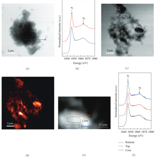 Figure 5: Si K-edge NEXAFS analysis of 7-day-hydrated C 3 S particles in the presence of CaCl 2 : (a) single image of one particle taken at 1855 eV, (b) Si K-edge NEXAFS spectra of the line-scan indicated in (a), (c) single image of another particle taken 