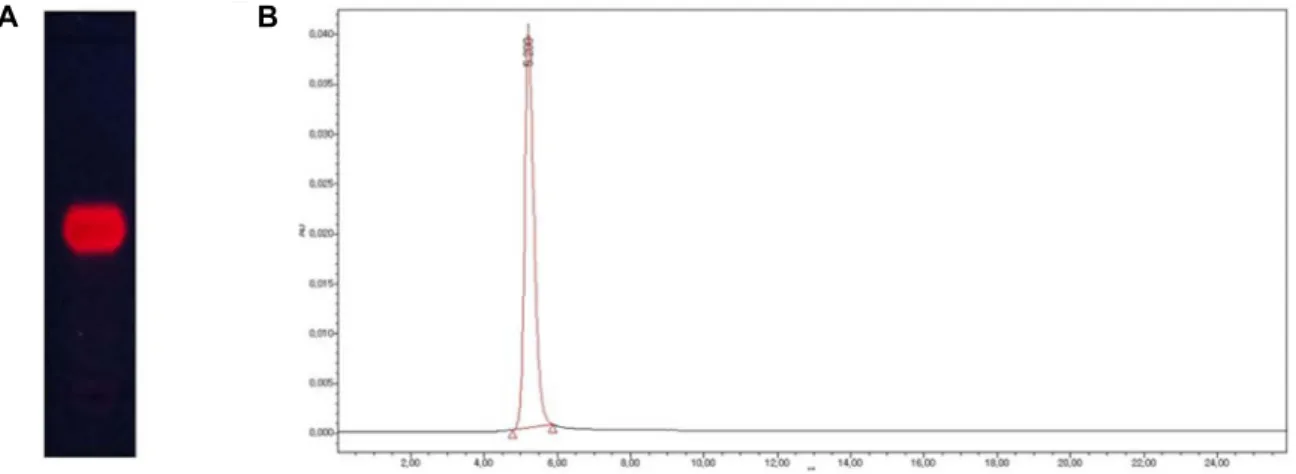 Fig.  2.  TLC  developing  pattern  and  HPLC  analysis  chromatogram  of  purified  compound  (NC-1)