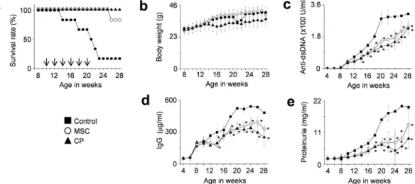 Figure 1.  MSCs ameliorate SLE development in MRL.Fas lpr  mice (multiple injections)