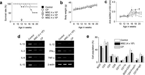 Figure 2.  MSCs ameliorate SLE development in MRL.Fas lpr  mice (single injection). MRL.Fas lpr  mice were 