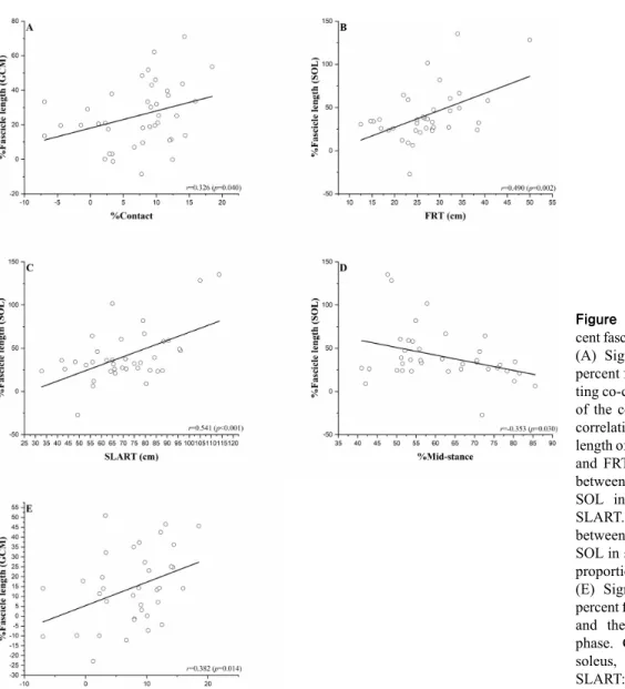 Figure 3. Correlation between per- per-cent fascicle length and other variables. (A) Significant correlation between  percent fascicle length of GCM in  sit-ting co-contraction and the proportion  of the contact phase