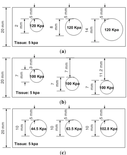 Figure 12. The schematic of calibration phantoms. The calibration phantoms are (a) Size  phantom; (b) Depth phantom and (c) Hardness phantom