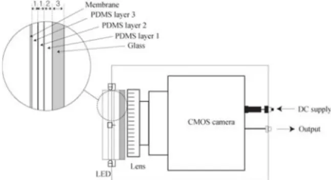 Fig. 2. Schematic of the Optical Tactile Sensor. 