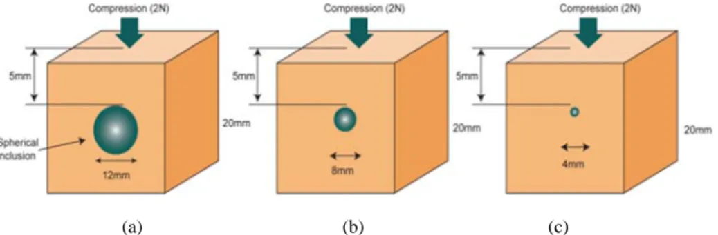 Fig. 11. An example of the strain experienced as a function of the inclusion size. (a) Tissue sample with 12 mm inclusion
