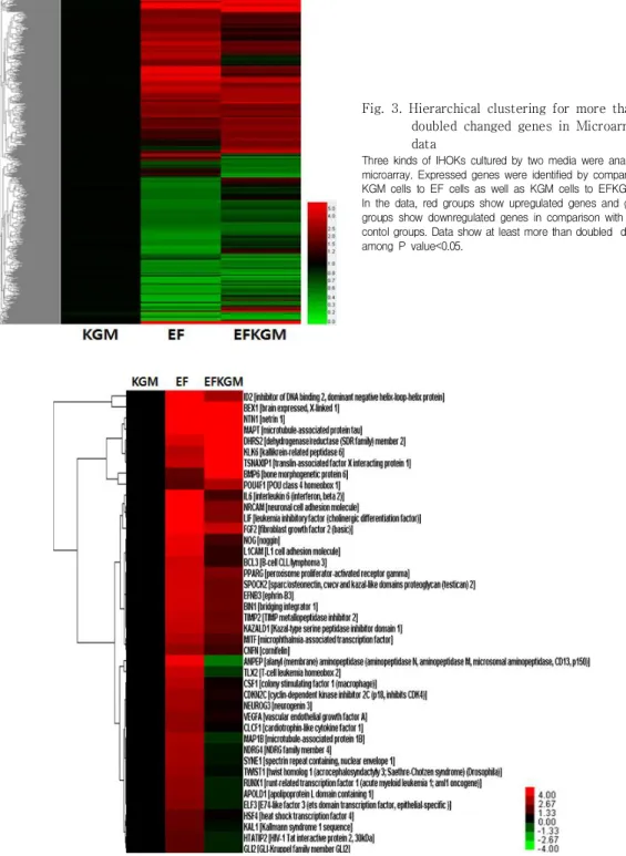 Fig.  3.  Hierarchical  clustering  for  more  than  doubled  changed  genes  in  Microarray  data