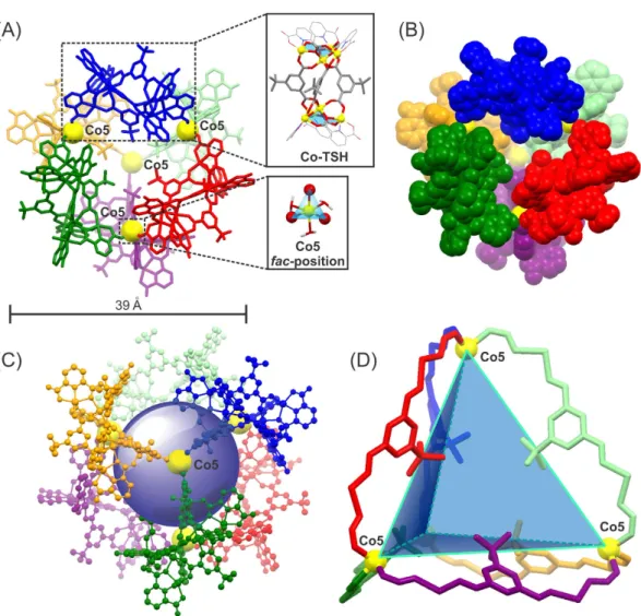 Figure 3.  X-ray crystal structure of discrete molecular cage 1. (A) 1 is composed of six Co-TSHs (portrayed 