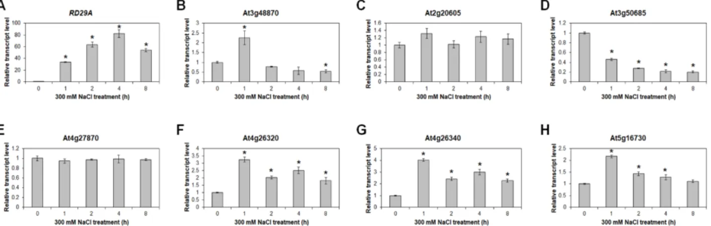 Fig.  4.  Expression  analysis  of  activated  genes  under  salt  stress  condition.  Quantitative  RT-PCR  analysis  of  RD29A  (A),  At3g48870  (B),  At2g20605  (C),  At3g50685  (D),  At4g27870  (E),  At4g26320  (F),  At4g26340  (G),  and  At5g16730  (H