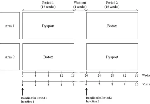 FIG. 1. Study design.