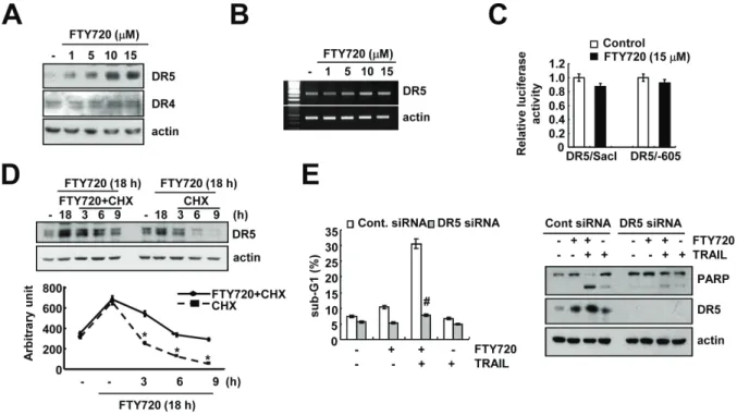 Figure 4: DR5 up-regulation by FTY720 contributes to the sensitization of Caki cells to TRAIL-mediated apoptosis