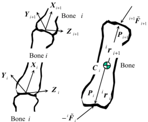 Fig. 2. Bones and joints.  Fig. 1. Decomposition of external force. 
