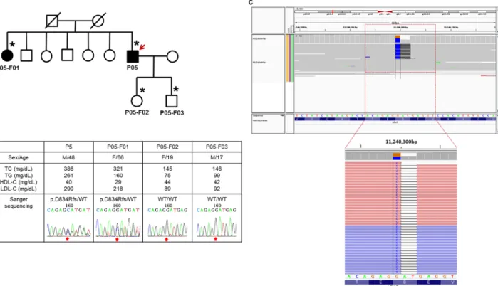 Fig 2. Pedigree analysis of a patient with LDLR p.D834Rfs/- mutation. (A) A simplified pedigree of the P05 family