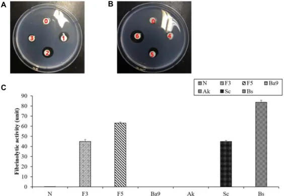 Fig.  3.  Fibrinolytic  activities  in  Water  extract  of  Tenebrio  molitor  (T.molitor)  fermented  using  several  kinds  of  micro-organisms  (A,  B,  C)
