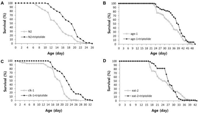 Fig.  1.  The  effect  of  triptolide  on  lifespan  of  long-lived  mutants.  The  lifespan  of  N2  (A),  age-1  (B),  clk-1  (C),  and  eat-2  (D)  was  compared  between  the  untreated  control  and  worms  treated  with  50  μg/l  of  triptolide