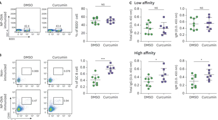 Figure 3.  Curcumin administration increases GL-7 + CD95 +  GC B cells. Flow cytometric analysis of (A) B220 +  B cell and (B) B220 + GL-7 + CD95 +  GC B cells in the 