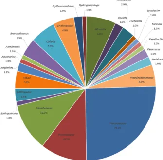Fig.  3.  Pie-diagram  showing  various  genera  of  bacterial  isolates  from  Certonardoa  semiregularis.